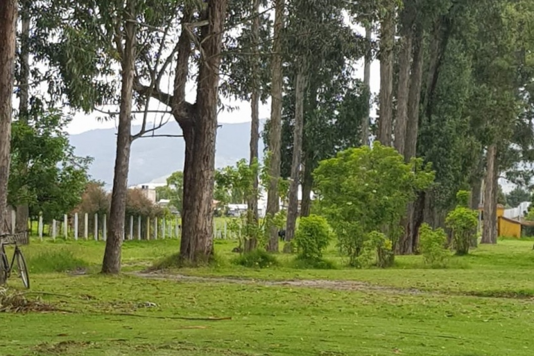 Cajica, Cundinamarca, Colombia, ,Finca/Hacienda,Venta,1250