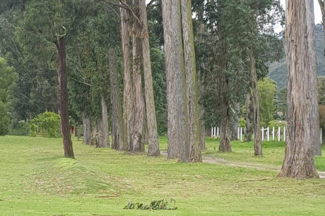 Cajica, Cundinamarca, Colombia, ,Finca/Hacienda,Venta,1250